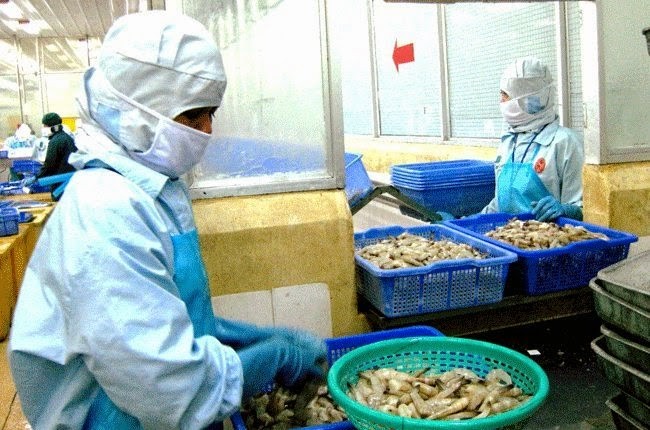 USA senken Zoll wegen Dumpingpreis für vietnamesische Garnelen bis auf unter ein Prozent - ảnh 1